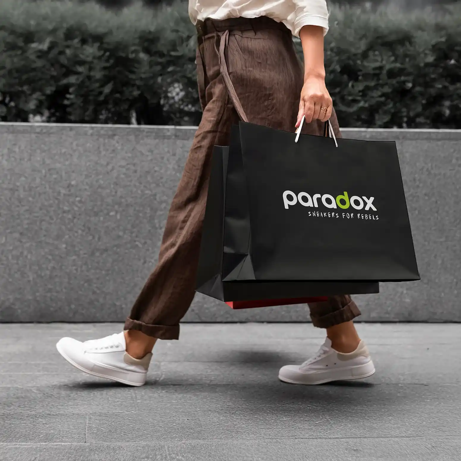 Paradox studio image 3